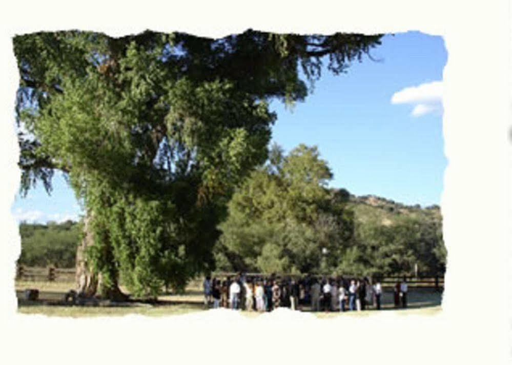 Patagonia Spirit Tree Inn B&B מראה חיצוני תמונה
