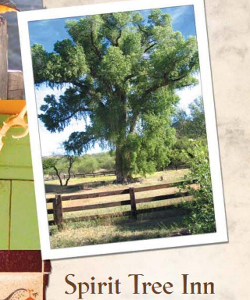 Patagonia Spirit Tree Inn B&B מראה חיצוני תמונה